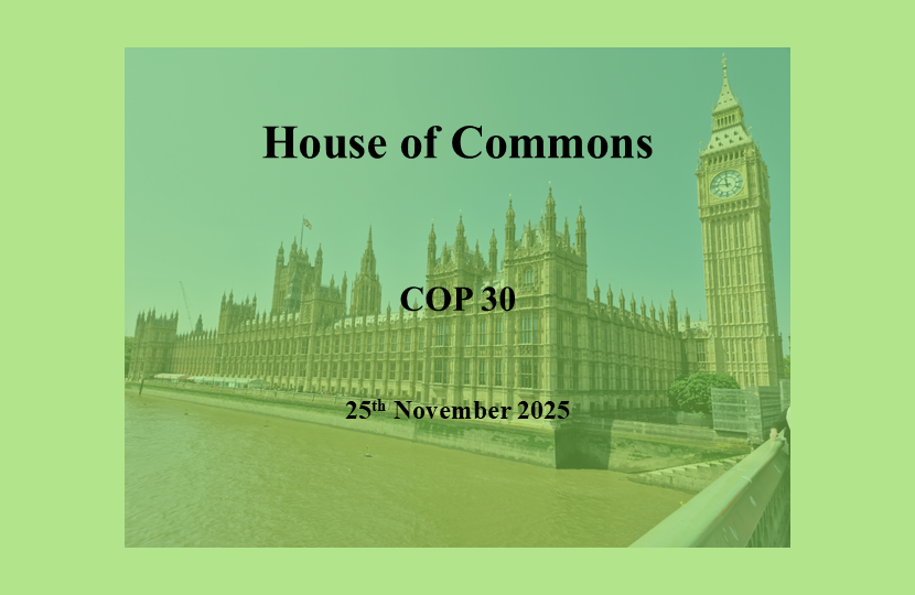 DE COP30 25Nov25
